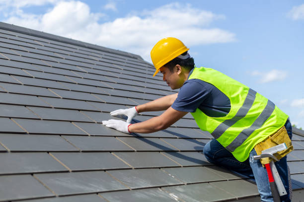 Best Metal Roofing Contractor  in Percy, IL