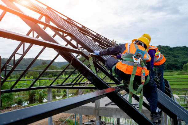 Best Residential Roofing Contractor  in Percy, IL