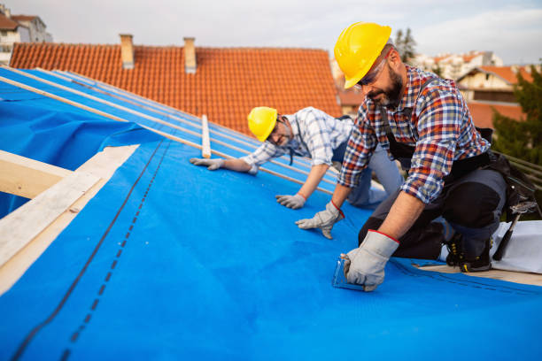Best Roof Waterproofing Services  in Percy, IL
